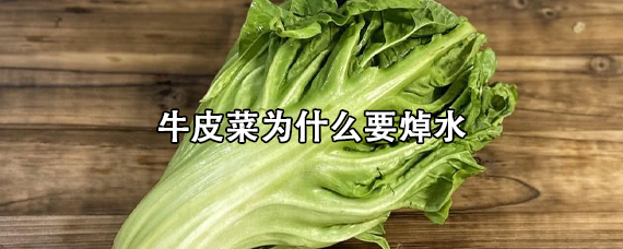 牛皮菜为什么要焯水啊