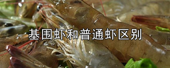基围虾和普通虾区别