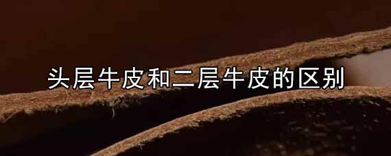 头层牛皮和二层牛皮的区别