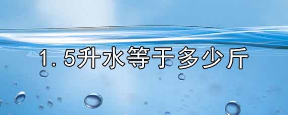 1.5升水等于多少斤_觅糖网