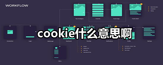 cookie什么意思啊