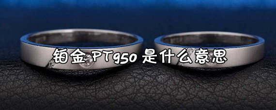铂金pt950啥意思呢
