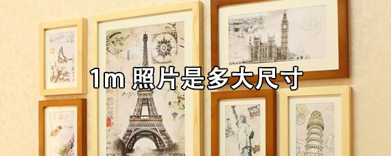 1m照片是多大尺寸