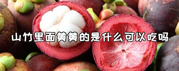 山竹里面黄黄的是啥