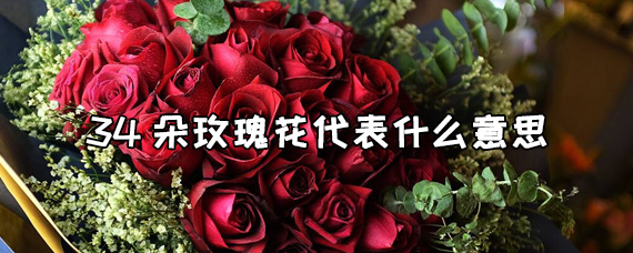 1朵玫瑰花含义图片