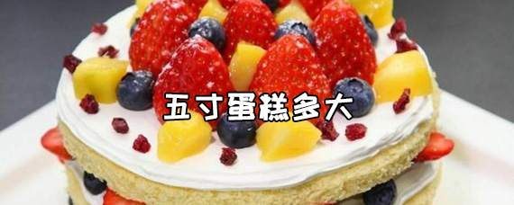 五寸的蛋糕多大啊