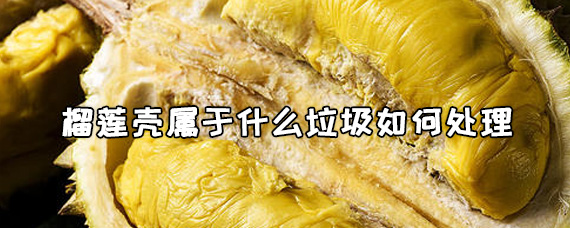 也是瓜皮果核类,但是因为榴莲壳很大,所以是属于不能生化处理的干垃圾