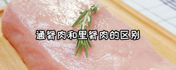 通脊肉和里脊肉的区别