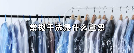 常规干洗是什么意思_觅糖网