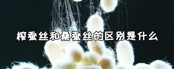 榨蚕丝和桑蚕丝的区别是什么_觅糖网