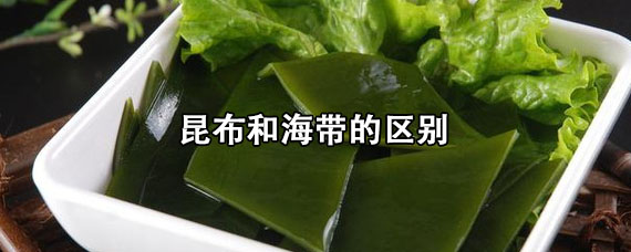 昆布和海带的区别