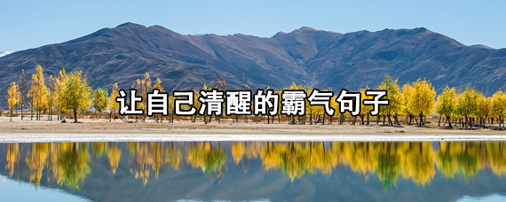 让自己清醒的霸气句子