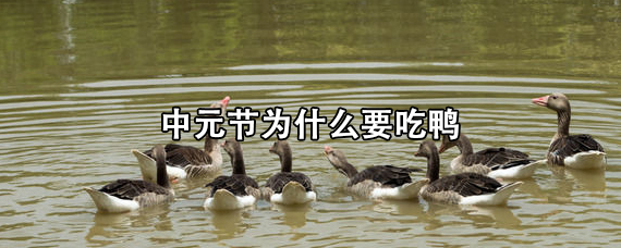 中元节为什么要吃鸭