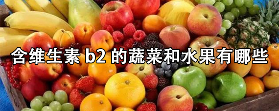 含有维生素b2的食物和水果有哪些(含有维生素b2的食物和水果)