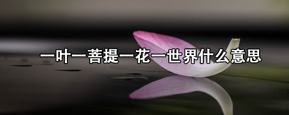 一叶一菩提一花一世界什么意思