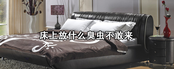 床上放什么臭虫不敢来
