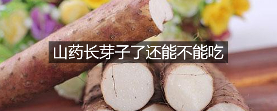 山药长芽子了还能不能吃