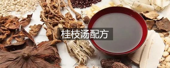 桂枝汤配方