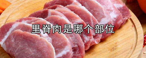 里脊肉是哪个部位