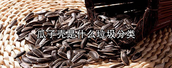 瓜子壳是什么垃圾分类