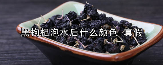 黑枸杞泡水后是啥颜色