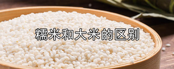 糯米和大米的区别