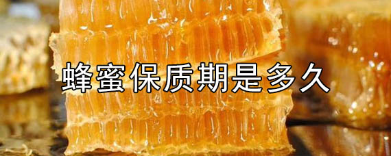 家养的蜂蜜保质期是多久啊(家养的蜂蜜可以放多久)