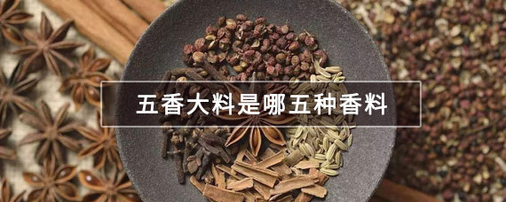 五香大料分别是哪五种香料