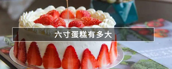 六寸蛋糕有多大