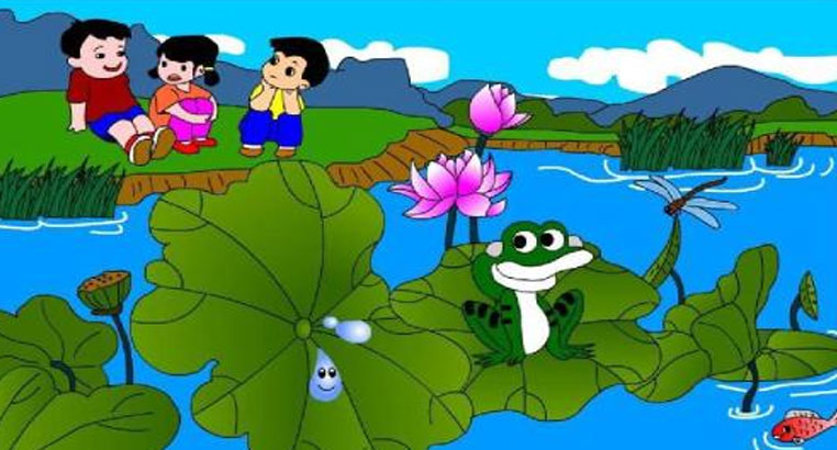 荷叶圆圆课文朗读