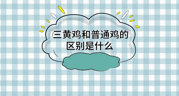 三黄鸡和普通鸡的区别是什么