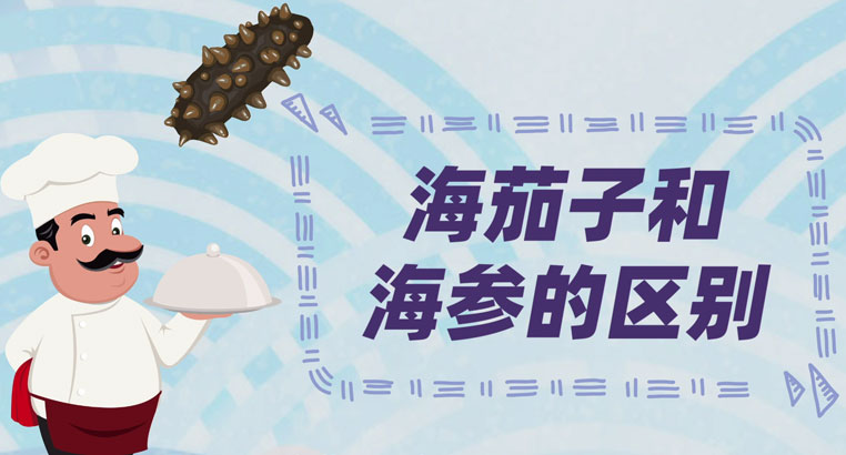 海茄子和海参的区别